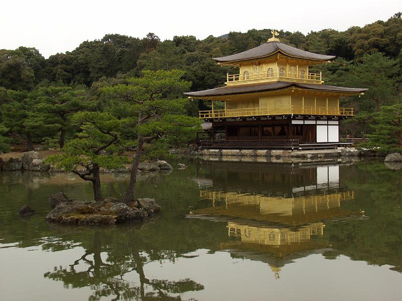 P3194267.JPG - OLYMPUS DIGITAL CAMERA