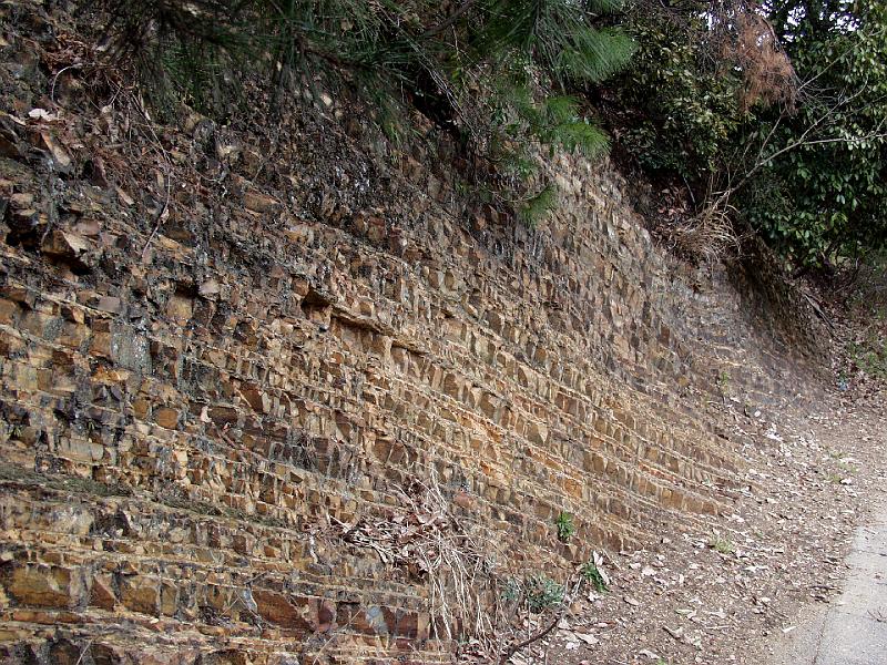 P3194284.JPG - OLYMPUS DIGITAL CAMERA