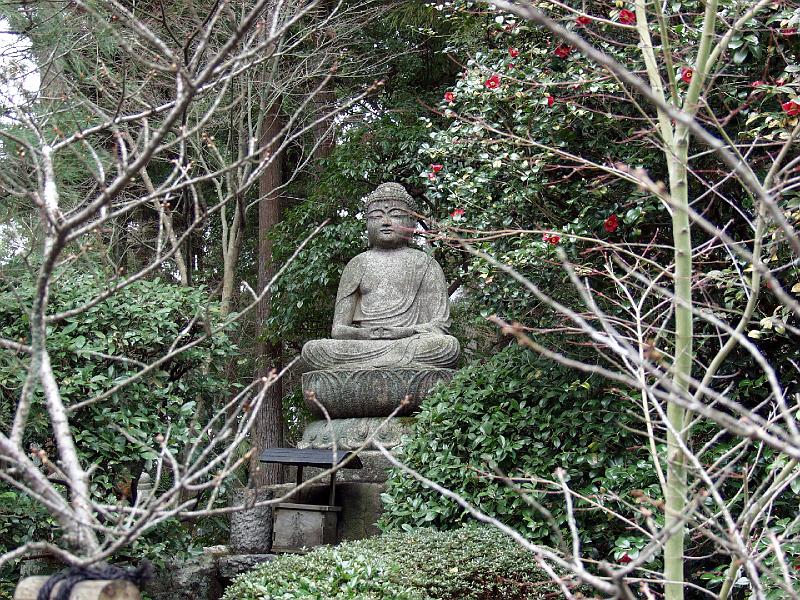 P3194288.JPG - OLYMPUS DIGITAL CAMERA