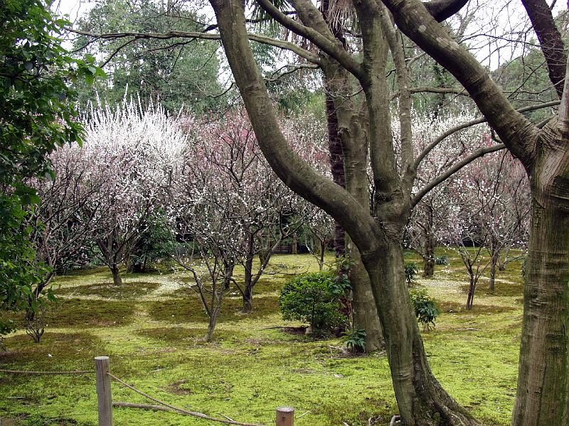 P3194302.JPG - OLYMPUS DIGITAL CAMERA