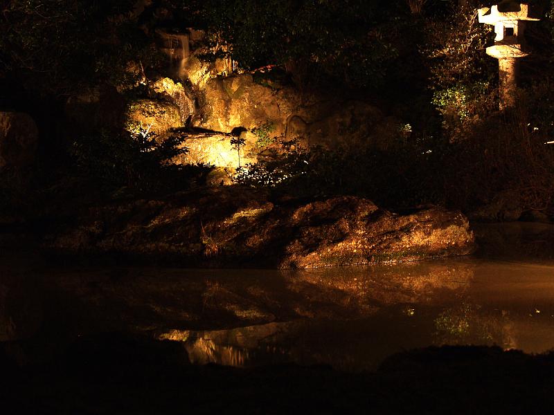 P3204357.JPG - OLYMPUS DIGITAL CAMERA