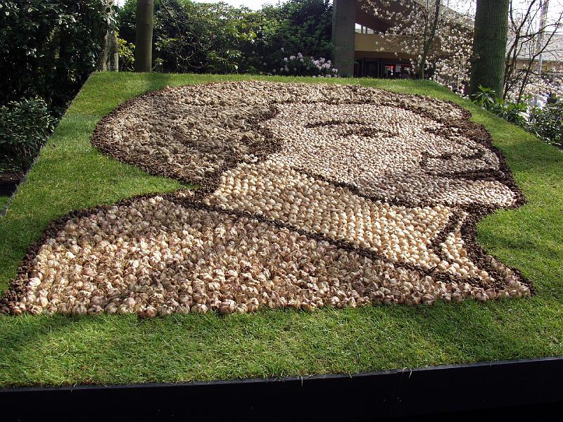 P4176104.jpg - Queen Beatrix made with Tulip Bulbs