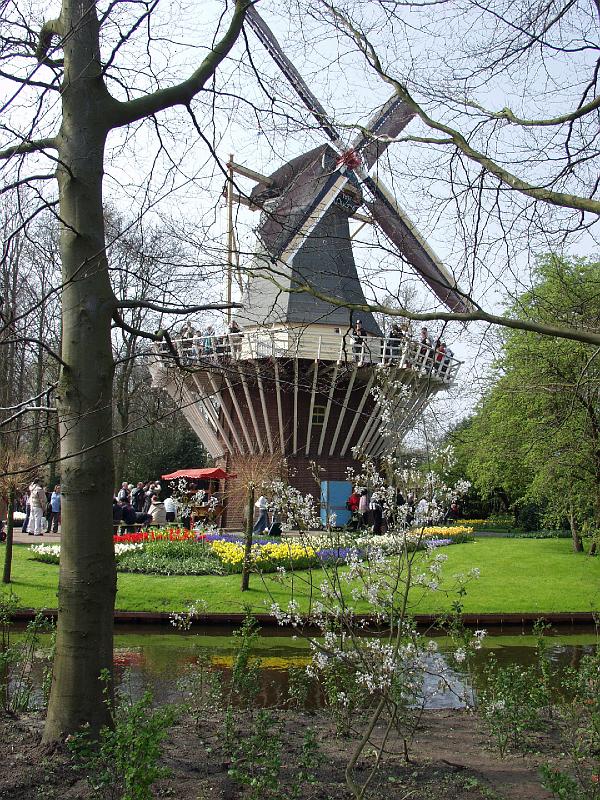 P4176153.jpg - Windmill at Keukenhof