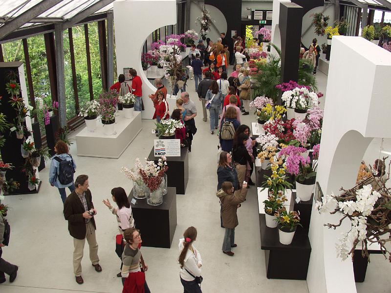 P4176161.jpg - Flower Exhibit at Keukenhof