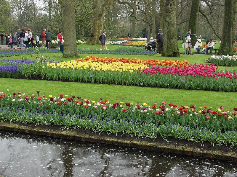 P4176180.jpg - It was a bit busy