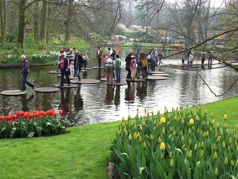 P4176186.jpg - We watched for a while to see if anybody fell in but alas nobody did.
