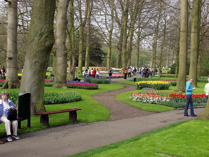 P4176190.jpg - Pretty pathway through the flowers