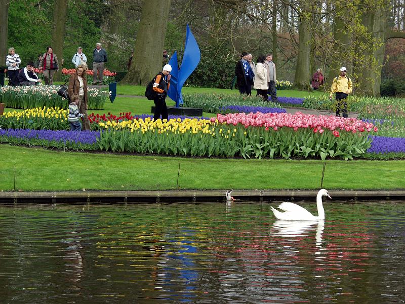 P4176195.jpg - This is a pretty shot but my favorite thing is the duck.