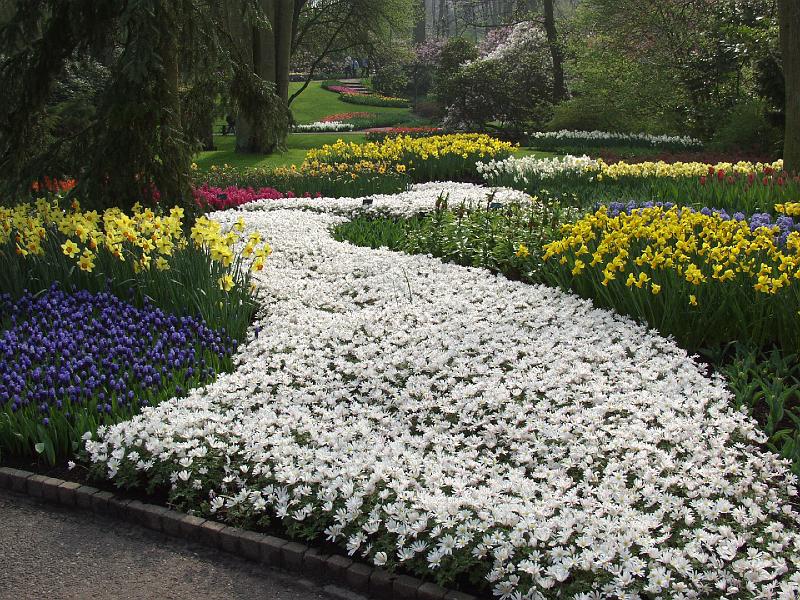 P4176205.jpg - OLYMPUS DIGITAL CAMERA