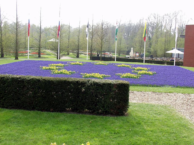 P4176206.jpg - EU Flag