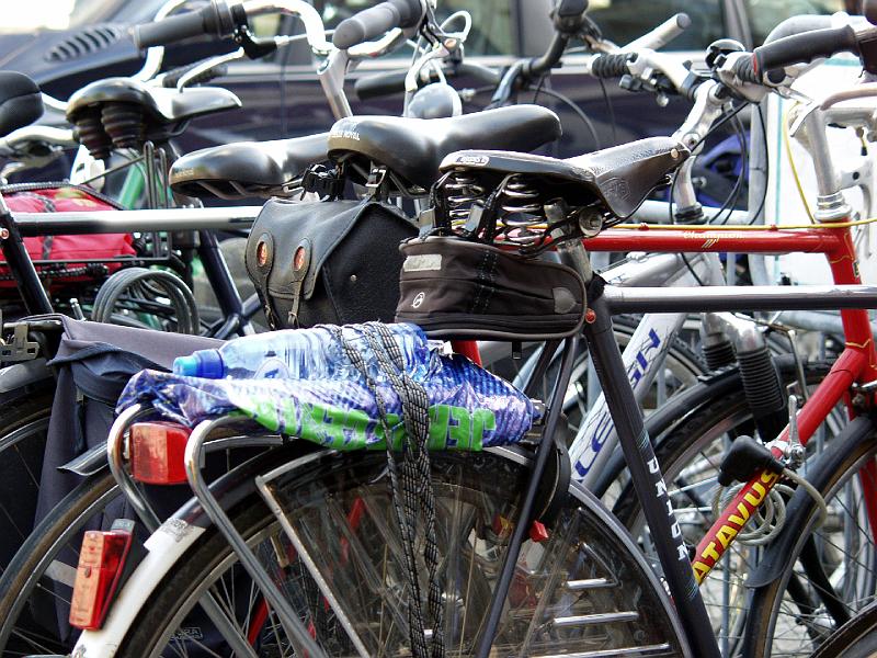 P8237397.jpg - I thought this might be a nice intro shot but I'm not sure I'll spend the time to rearrange these.