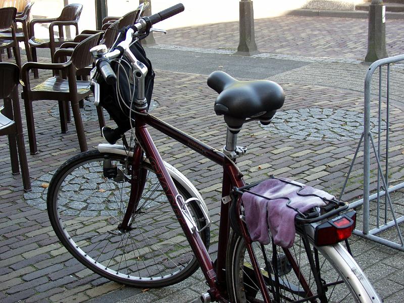 P8237416.jpg - Wet purple socks drying in the shade