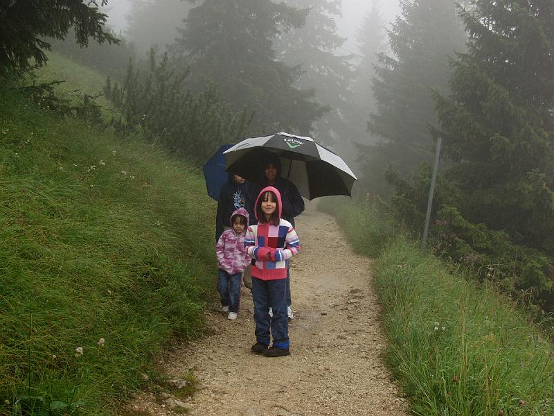 P8077259.jpg - When we got to the top (1700 meters), this is what we could see.