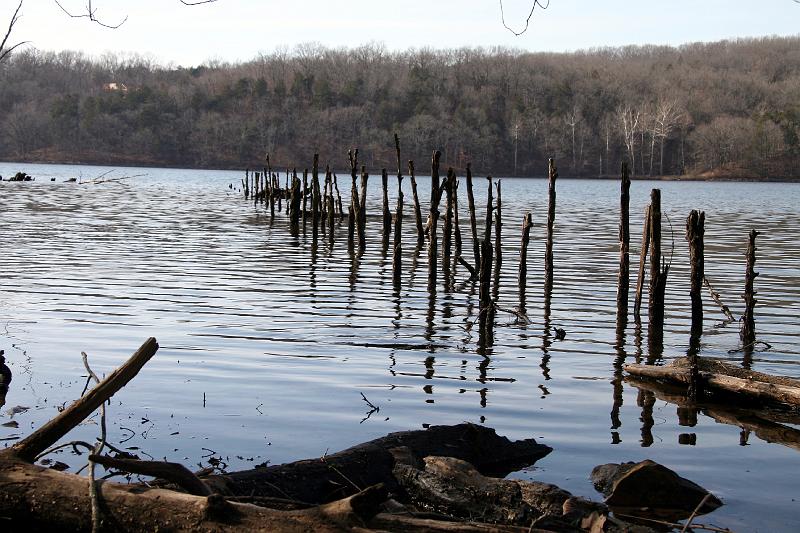 IMG_0077.jpg - Shot along the lake.  Where an old dock used to stand.  Now it's where an old Doc likes to stand :^)