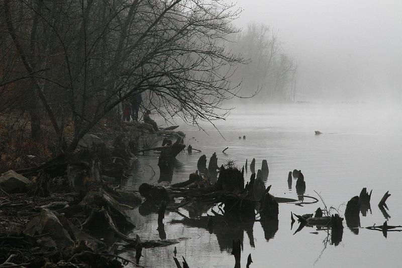 IMG_0155.jpg - Foggy lake with dog