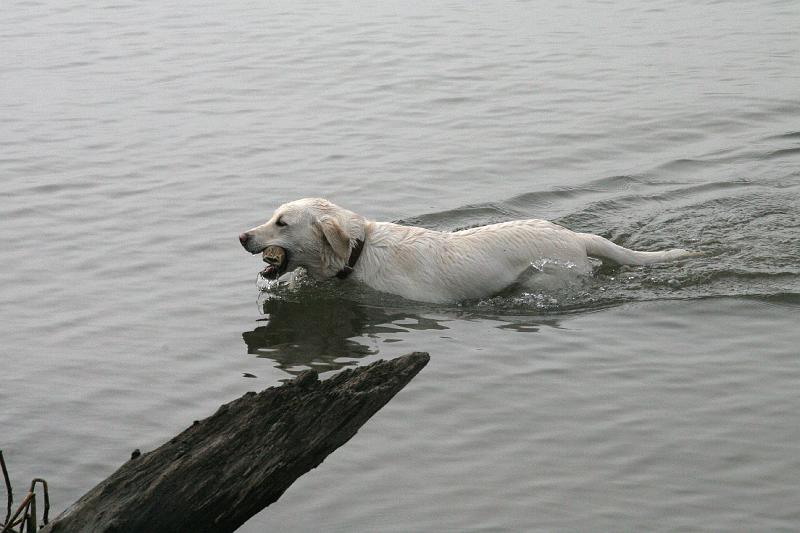 IMG_0160.jpg - Fetch