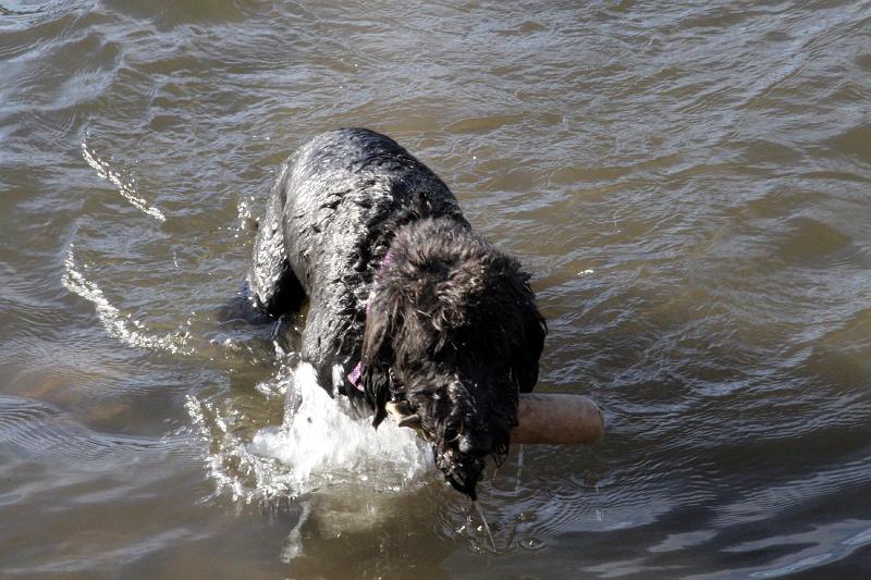 IMG_0166.jpg - Brrrr