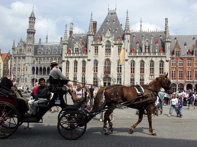 P7036502.jpg - Town Hall with Horse and Carriage.