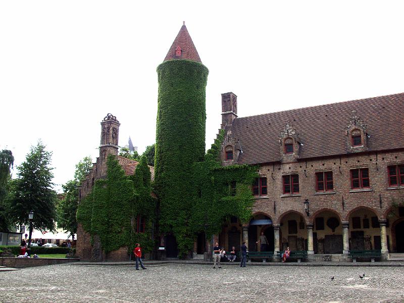 P7036605.jpg - Rapunzel, Rapunzel, let down your hair.