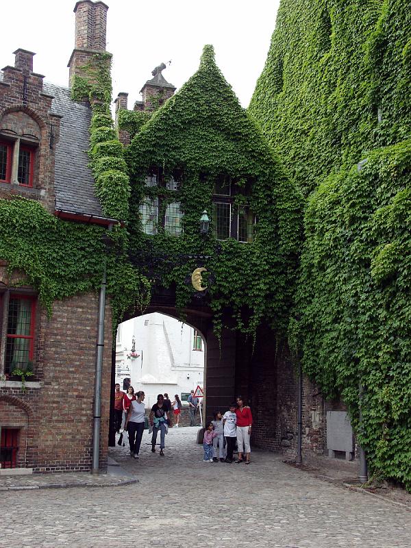 P7036614.jpg - Now we're in the Ivy League.