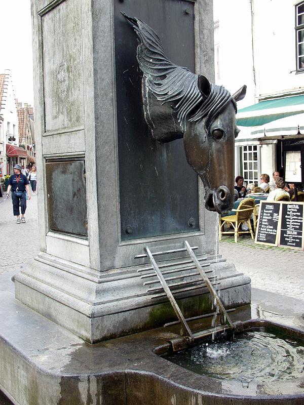 P7036632.jpg - Really a horse trough