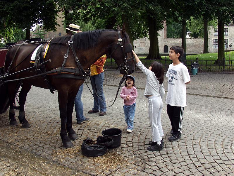P7036636.jpg - Horse and Kids