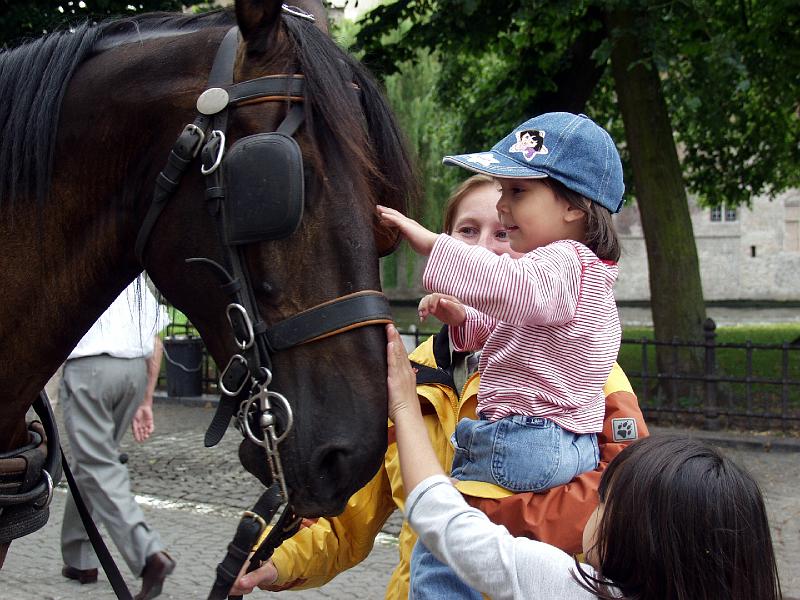 P7036641.jpg - L pets the horse.