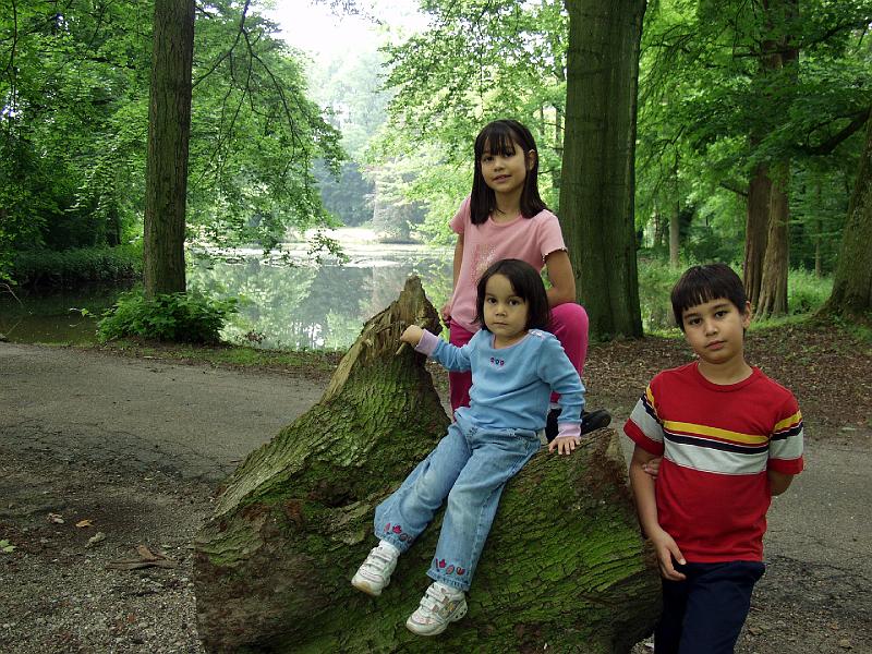 P7246830.jpg - In the woods around the Kasteel