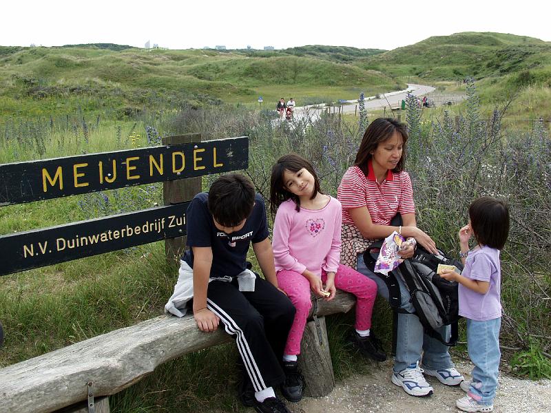 P7096656.jpg - Meijendel is a nature reserve near wassenaar.  If you look way in the background you can see silhouette of the center of The Hague.
