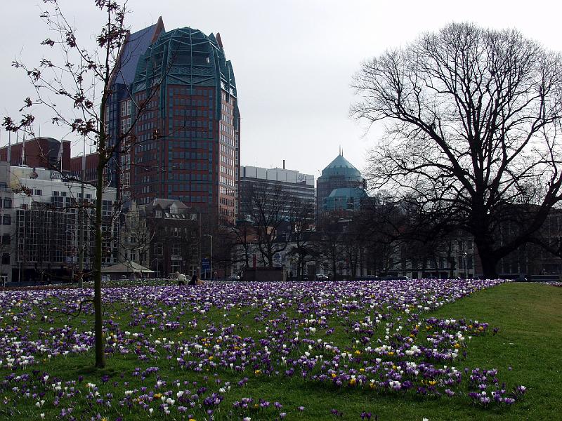 P3205894.jpg - Flowers in Front of Central Station in The Hague