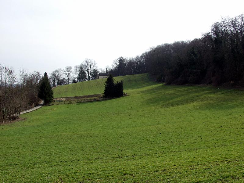 P3165810.jpg - Doesn't look much like Holland here does it?