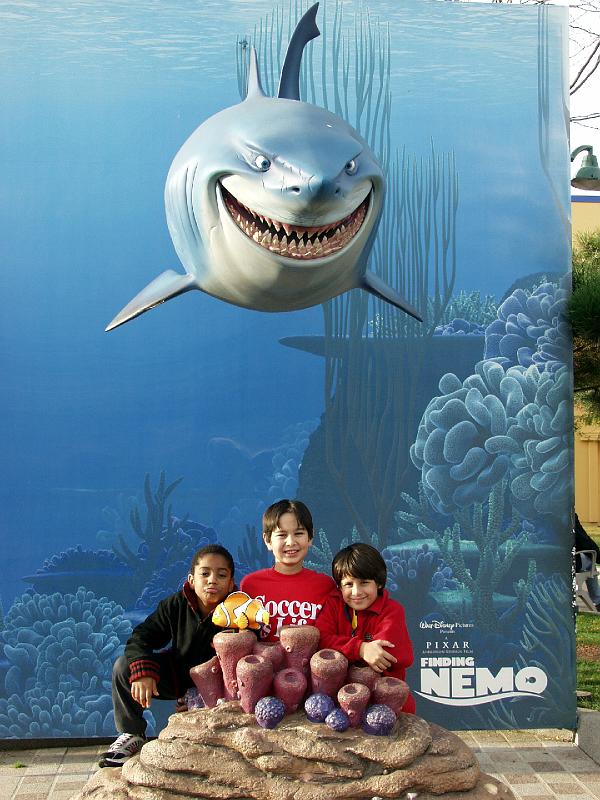 PA167644.jpg - We found nemo!