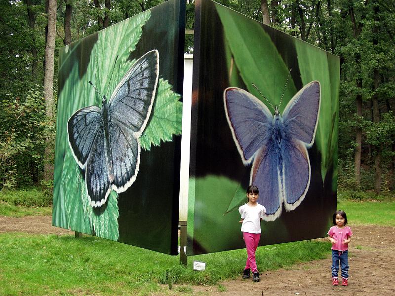 P9117447.jpg - Moths and girls