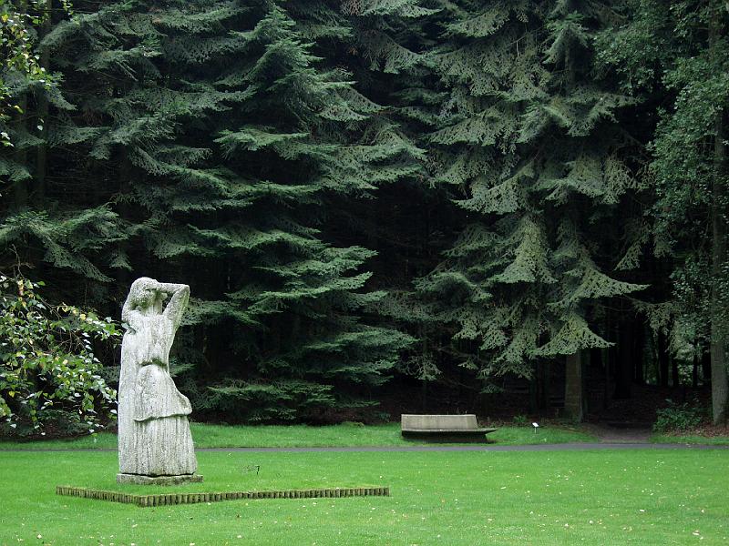 P9117462.jpg - I really thought the trees were interesting here.