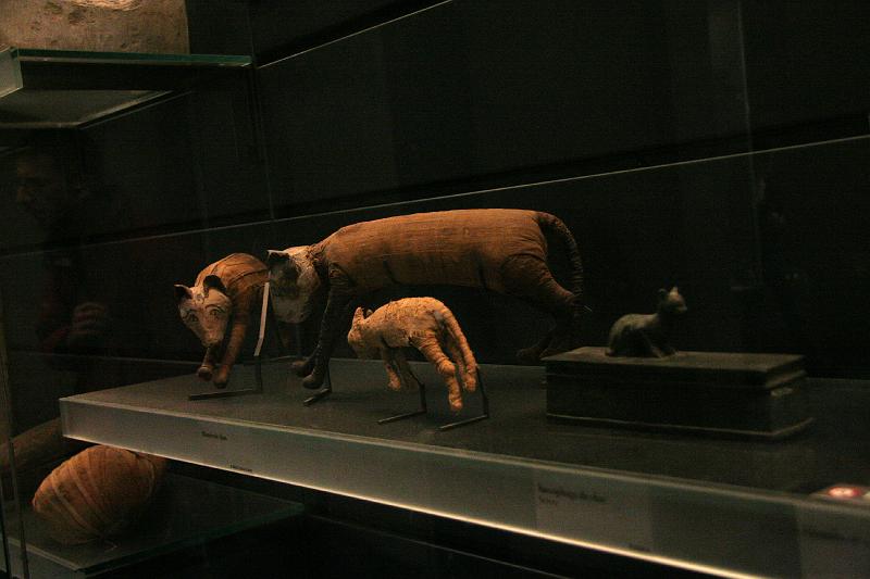 IMG_0894.jpg - Mummy cats