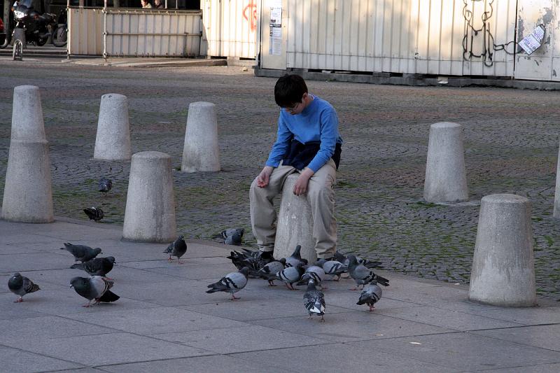 IMG_1013.jpg - M trying to pet the pigeons