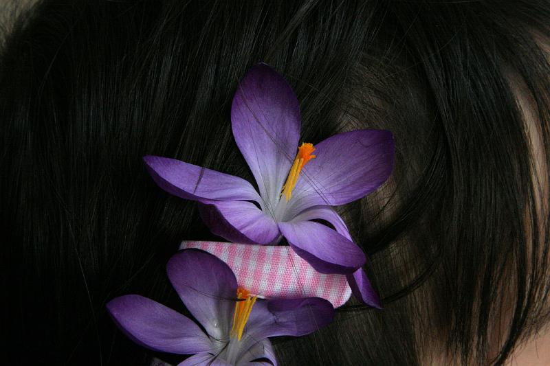 IMG_0725.jpg - Closeup of flowers.