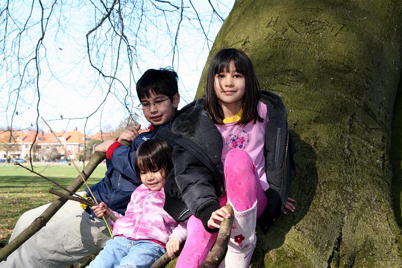 IMG_0748.jpg - Kids, tree and neighborhood