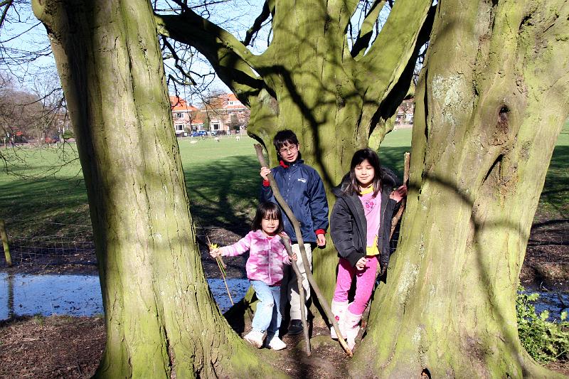 IMG_0752.jpg - Never mind