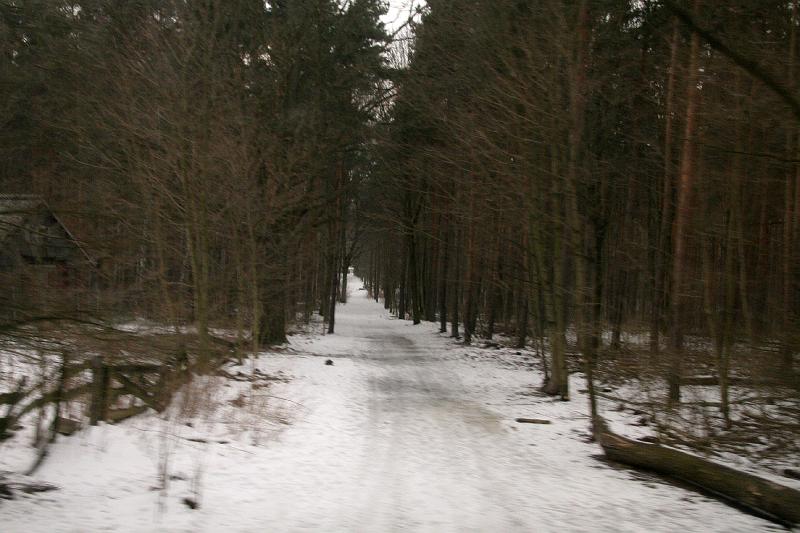 IMG_0307.jpg - Snow around Berlin.