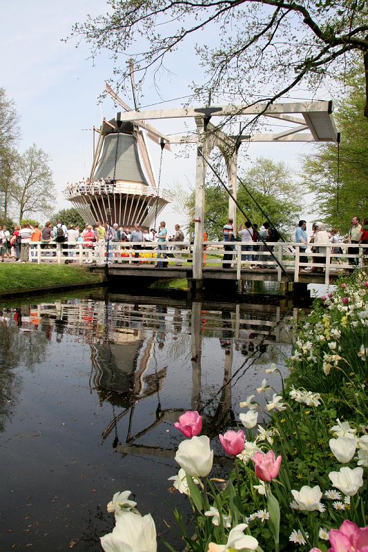 IMG_1417.jpg - Canal, drawbridge and windmill