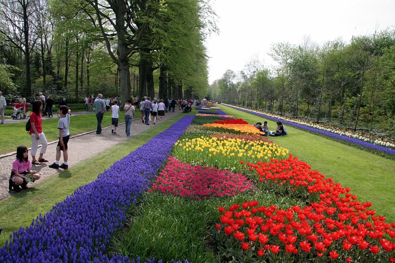 IMG_1431.jpg - Keukenhof