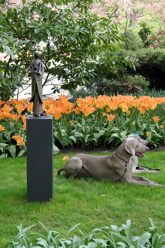 IMG_1442.jpg - Statue, tulips and dogs