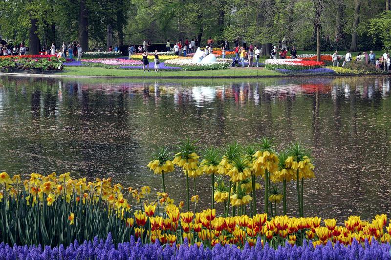 IMG_1458.jpg - Flowers, flowers everywhere