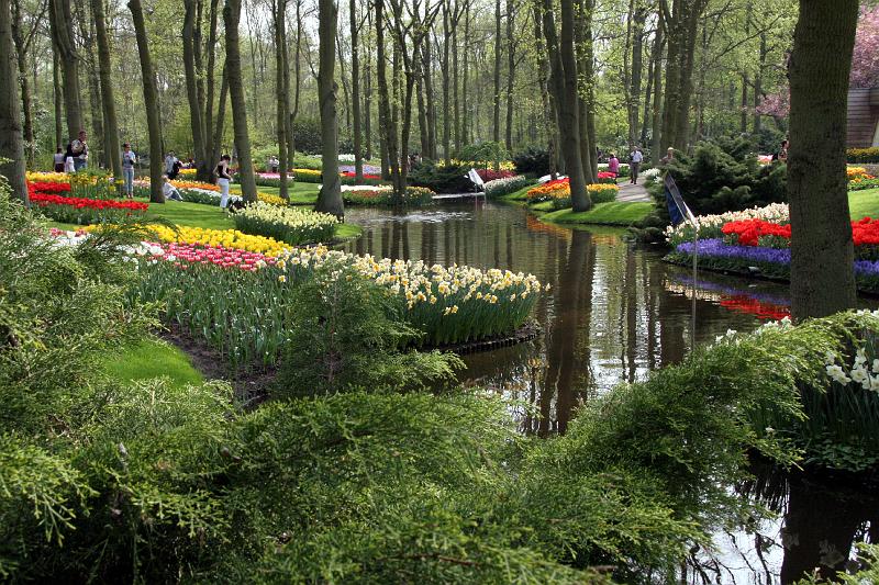 IMG_1459.jpg - Flowers and water