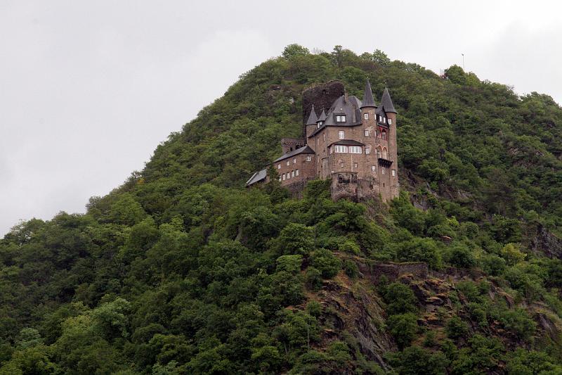 IMG_1616.jpg - Katz again