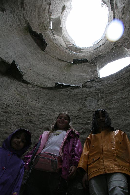 IMG_1649.jpg - Maidens in the tower?