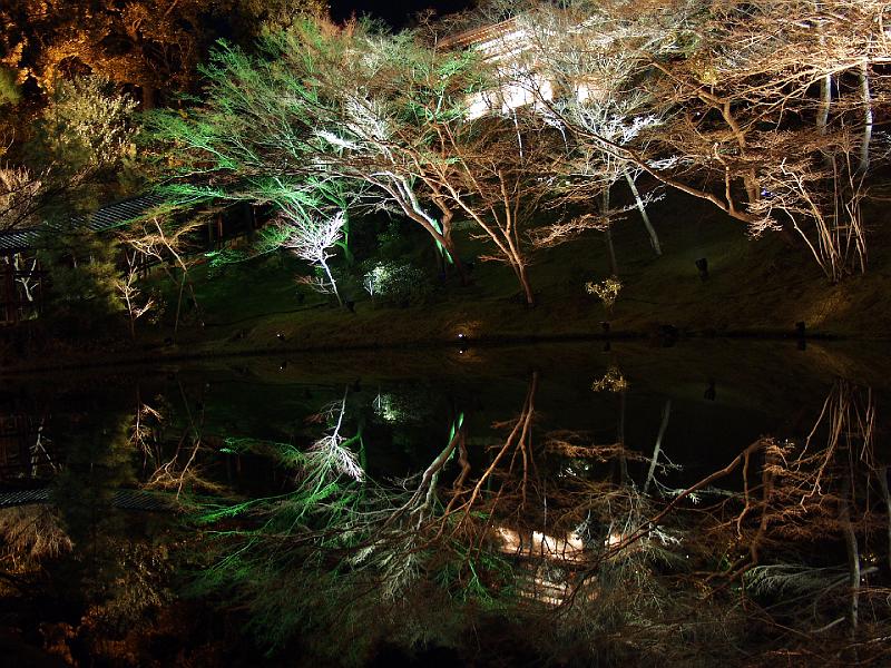 P3194254.JPG - OLYMPUS DIGITAL CAMERA