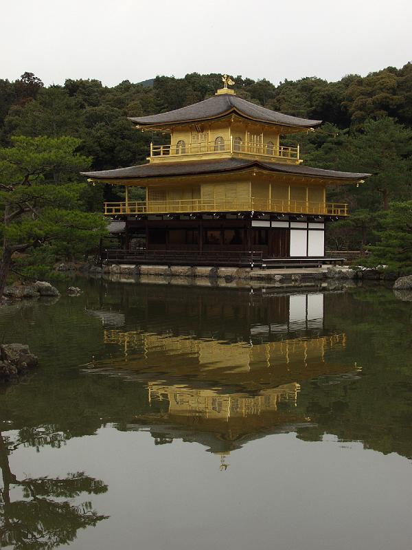 P3194268.JPG - OLYMPUS DIGITAL CAMERA