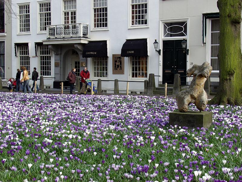 P3205917.jpg - OLYMPUS DIGITAL CAMERA